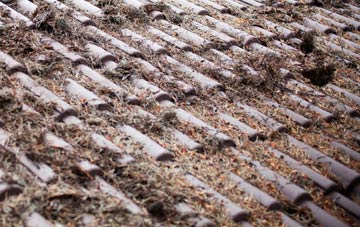 Stocks Green roof cleaning companies