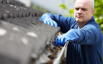 cleaning and inspecting Stocks Green roofs