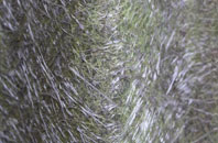 Stocks Green fibreglass roof work